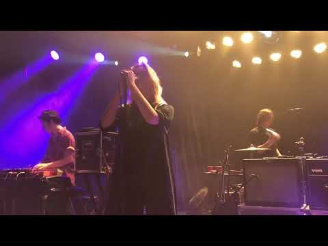 Hello Seahorse - El Artista