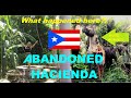 Hacienda Abandonada- Wow! Exploring a Mysterious Abandoned Hacienda Resort in Puerto Rico!