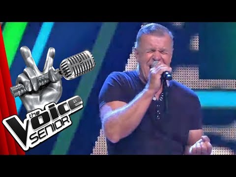 Die Ärzte - Junge (Steffen Martin) | The Voice Senior | Audition | SAT.1 TV