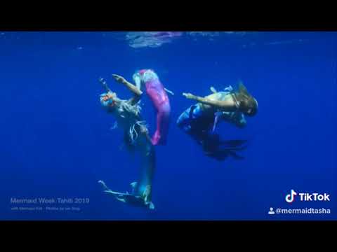 Promotional video thumbnail 2 for Mermaid Tasha LLC