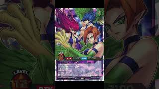 Yu Gi Oh a la découverte du rush duel ep3,  5th Anniversary pack #yugioh #yugiohfr #yugiohocg