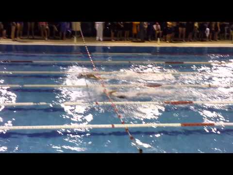 AICS Pavia Nuoto Master - Tortona 2014 - 4x50 sl m100 D