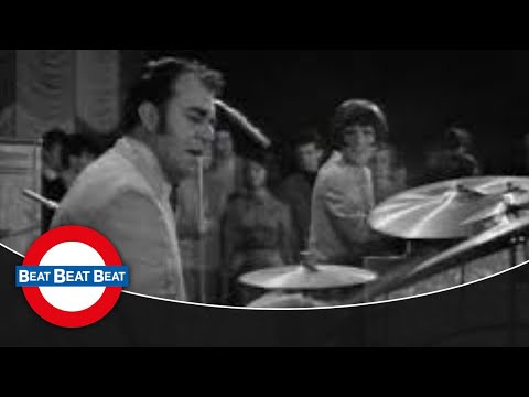 Cherry Wainer & Don Storer - The Cat (1967)