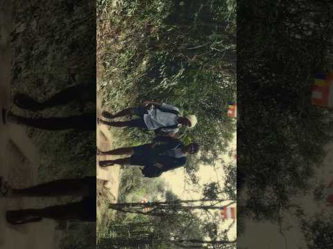 පරිසරය නැමැති කලාකරුවාගේ මම ලොකුම රසිකයා වෙමි #short #shorts # #creative #nature #shortsfeed