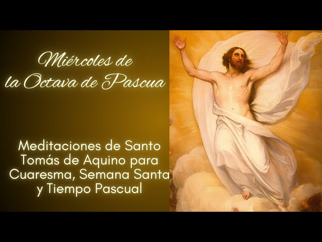 Vídeo relacionado con De la Pasión a la Misericordia. Meditaciones para la Semana Santa y la Octava de Pascua