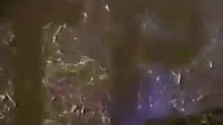 Prince the most beautiful girl in the world mustang mix