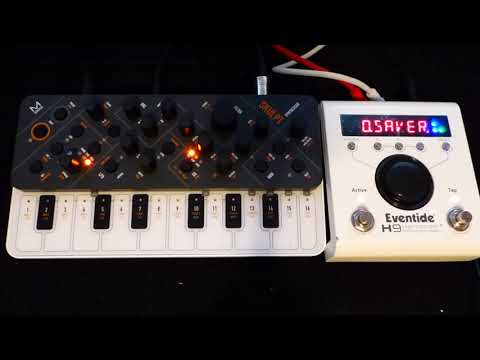 Modal Electronics Skulpt & Eventide H9 (Resonator)