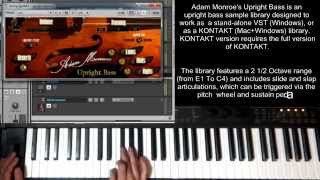 Upright Bass Sample Library VST AU Virtual Instrument Kontakt Adam Monroe Upright Bass