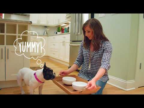 Stella & Chewy's Freeze dried