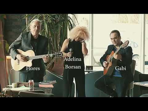 Adelina & Friends live cover songs:  Love you anymore/All about that bass/That man/ Valerie