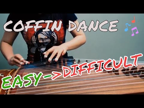 Coffin Dance - Instrumental Guzheng Cover