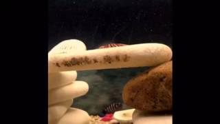 Azat Alkan - Tatlım Tatlım / Film müzikler Soundtrack