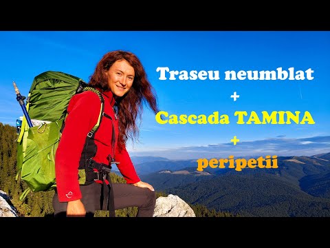 Partea salbatica a Muntilor Piatra Mare. Un urs ne-a facut sa ne mutam de la cort, in stana!!!