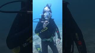 Open Water Diver Certification in Nha Trang, Vietnam #scubadiving #nhatrang