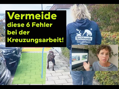 KREUZUNGSARBEIT- vermeide diese häufigen 6 Fehler!