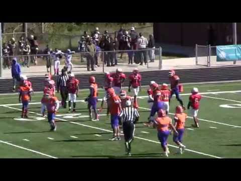 Week  Seven CMYFL12U-Ballantyne Gators v. Charlotte Cardinals