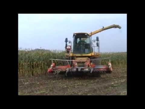 Demarez- Marreel: Mais hakselen.