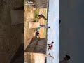 Nippon Ad Funny Video