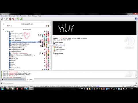 GRÓBY MISZCZU ŚFIATA NA MIKROFONJE