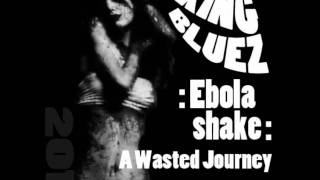 A Wasted Journey - King Bluez - Ebola shake - 2011.wmv