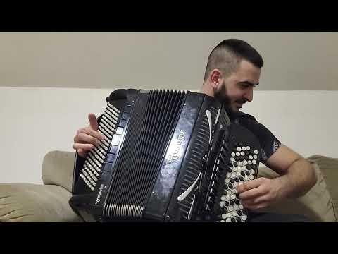 Cuvam ovce kraj zelene Jove - Jovica Petkovic Verzija - Online Skola Harmonike Dugmetara