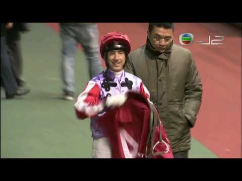 2017/18 (336) - Perpetual Joyance (駿明珍寶) - 杜利萊