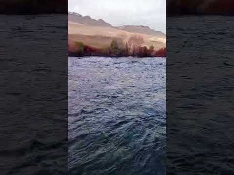 PATAGONIA JUNIN DE LOS ANDES 