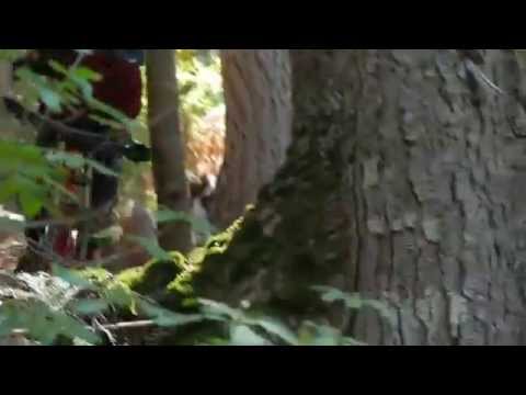 Даунхилл: Video Scott In Your Hands Paul Basagoitia and KC Deane