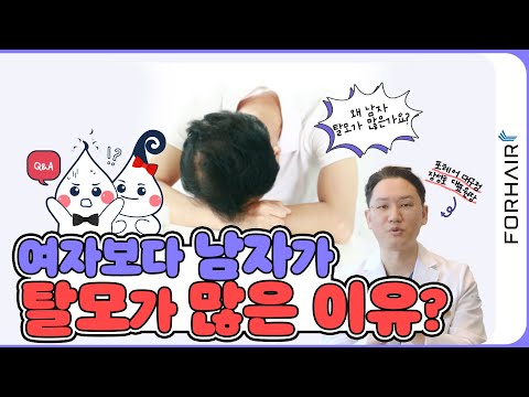 남자 탈모가 여자 탈모보다 많은 이유?!ㅣ포헤어 대구