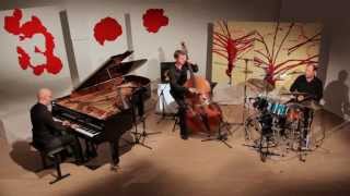 VEIN Trailer of the jazz trio from Switzerland | Michael & Florian Arbenz | Thomas Lähns