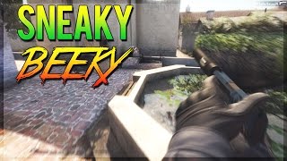 Sneaky Beaky 4K - CS:GO Competitive BEST MOMENTS [60FPS] #25