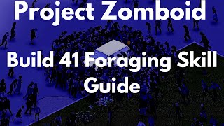 Project Zomboid Build 41 Foraging Skill Guide