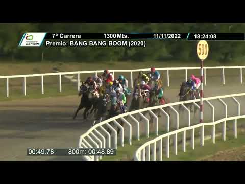 221111 c07 - COSITA LOCA - HIPODROMO LAS PIEDRAS