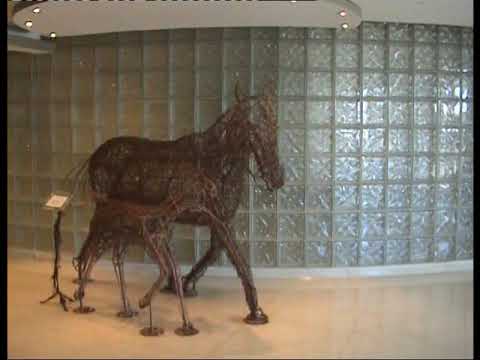 queen's plate woodbine 2008 part 1