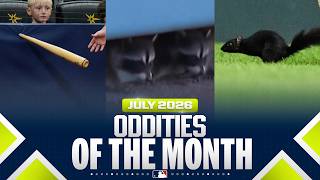 MLB's BEST bloopers of July 2026! ???? (Black squirrels, raccoons & more ballpark oddities)