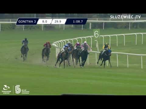 02.05.2021 (D2; G3; Tor: Mocno elastyczny; 9°C) Nagroda Dżamajki