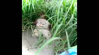 #shorts #trending #fyp #onlyfans