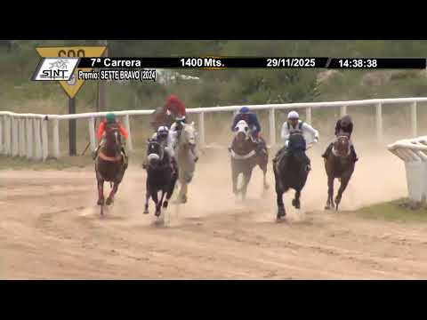 SINT MELO 251129 c07 - ANTONIO BANDERAS