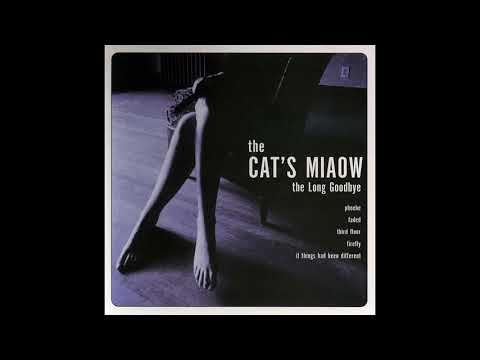 The Cat's Miaow - Phoebe