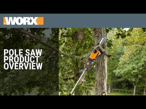 8.0 Amp 10" Electric Pole Saw WG309 | Product Overview