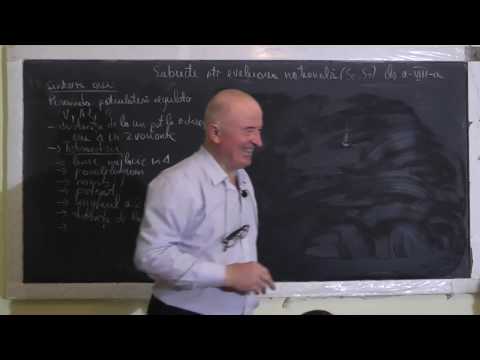 2/3 1449 Piramida patrulatera regulata Tetraedru Paralelogram Romb Patrat Unghiul a 2 drepte Clasa 8