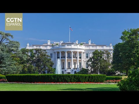 ¿Hacia la TIRANÍA? Hollywood advierte sobre Trump 🔥 #eeuu #news #politica #trump #usa #viral