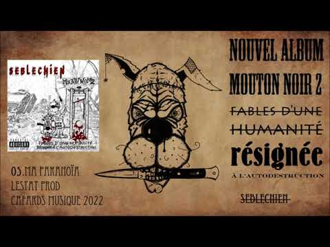 SEBLECHIEN-Ma Paranoïa (audio)