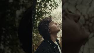Dramatic reminder that this song will be yours soon 🦌🦌