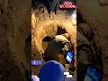Jannat Ul Baqi Mai Qabar Madina Qabristan First Graveyard Of Islam Shorts Inayatwonderland