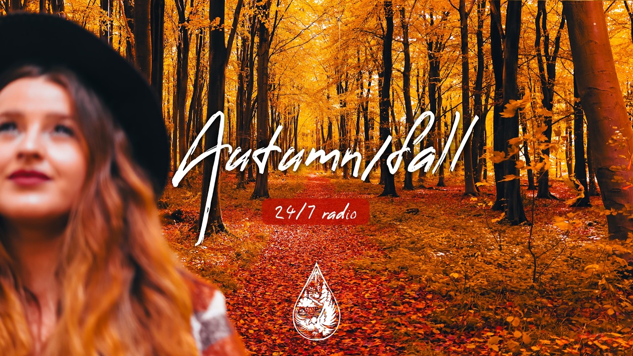 Autumn 24/7 Radio 🍂 chill indie folk/acoustic music for work and relax • alexrainbirdRadio