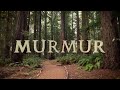 Teaser Watch MURMUR On Amazon Prime Or PLEX Now