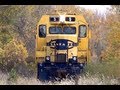 Locomotive Emerges from the Woods