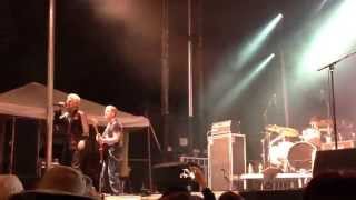 Diamond Sun ~ Glass Tiger