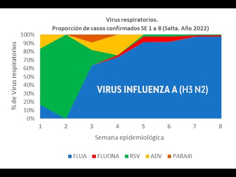 Inusual incremento de enfermedades tipo Influenza en Salta